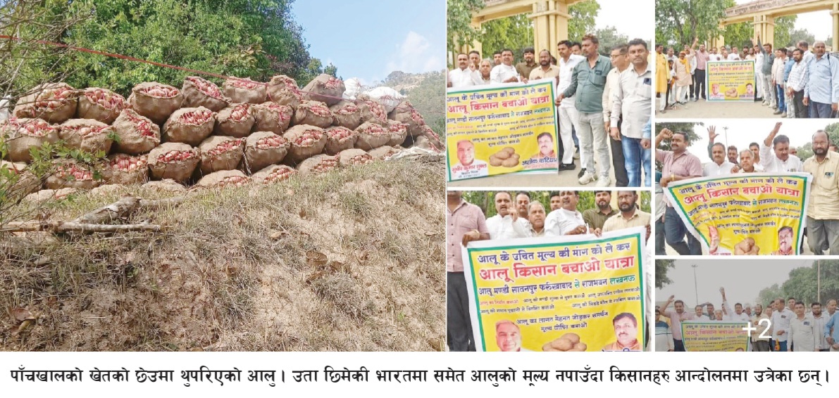 किसान एउटै प्रश्न सोधिरहेका हुन्छन् “जब उत्पादन राम्रो हुन्छ, तब पनि किन हामी नै घाटामा पर्छौं?”