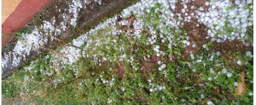 असिनापानीले काभ्रेका किसानलाई ठूलो क्षति